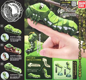 Swallowtail butterfly larva (Toy)