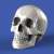 ジオラマアクセサリー 頭蓋骨セット (プラモデル) 商品画像1