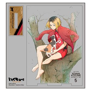 Haikyu!! To The Top Kenma Kozume Acrylic Stand (Anime Toy)