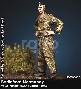 WWII 独 武装親衛隊 戦車搭乗員 略帽姿の下士官 1944年夏 (プラモデル)
