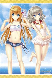 [Angel Beats!] & [Charlotte] Charlotte B2 Tapestry (Anime Toy)