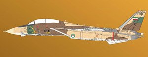 F-14A イラン・イスラム共和国空軍 1980 (完成品飛行機)