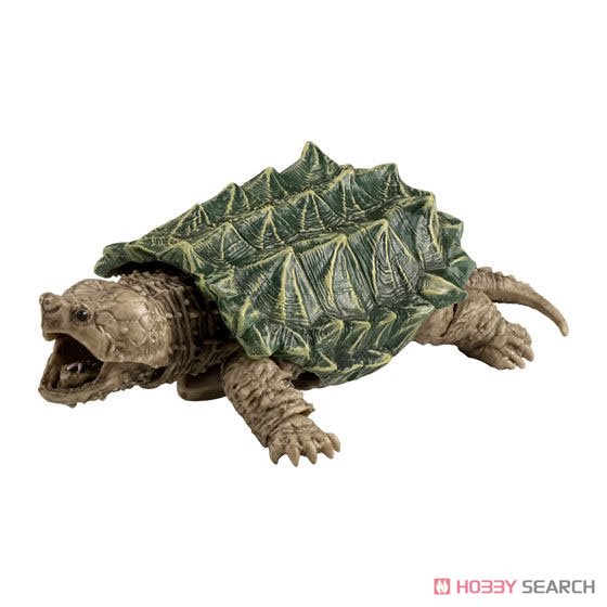 Tortoise 03 (Toy) Item picture1