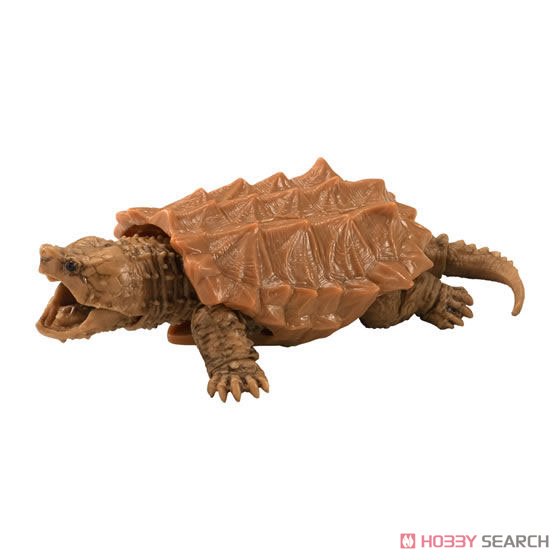 Tortoise 03 (Toy) Item picture2