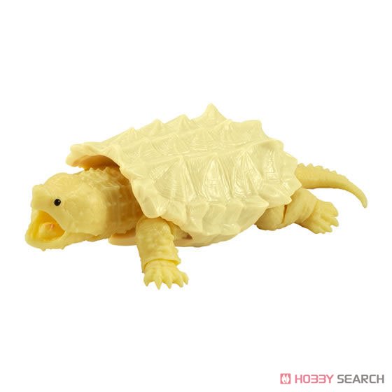 Tortoise 03 (Toy) Item picture3