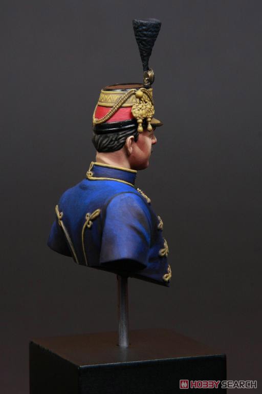 WW.I オーストリア・ハンガリー帝国 フザール将校胸像 「ハンガリー王立軍」 (プラモデル) その他の画像5