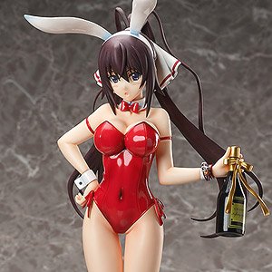 Houki Shinonono: Bare Leg Bunny Ver. (PVC Figure)