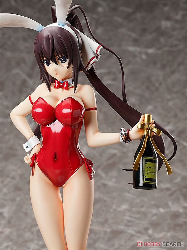 Houki Shinonono: Bare Leg Bunny Ver. (PVC Figure) Item picture5