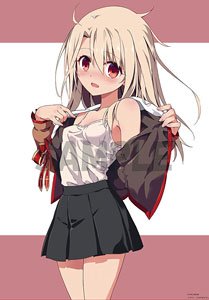 [Fate/kaleid liner Prisma Illya 3rei!!] Hiroshi Hiroyama Illust B2 Tapestry [Dress Up] (Anime Toy)