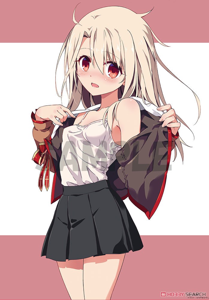 [Fate/kaleid liner Prisma Illya 3rei!!] Hiroshi Hiroyama Illust B2 Tapestry [Dress Up] (Anime Toy) Item picture1