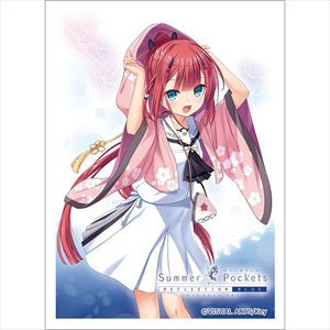 [Summer Pockets Reflection Blue] Sleeve (Shiki Kamiyama) (Card Sleeve)