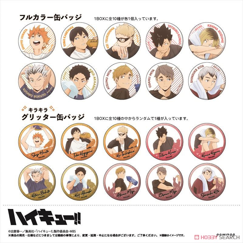 Haikyu!! Can Badge Collection (Set of 11) (Anime Toy) Item picture1