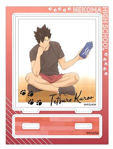 Haikyu!! Acrylic Stand (D Tetsuro Kuroo) (Anime Toy)
