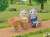 Good friend cycling set Husky brothers (Sylvanian Families) Other picture1