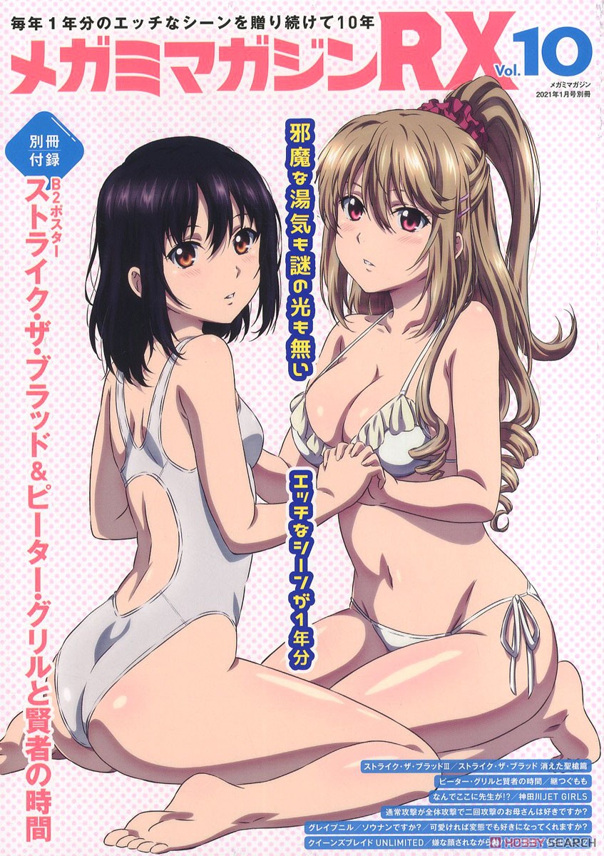 Megami Magazine RX Vol.10 w/Bonus Item (Hobby Magazine) Item picture1