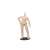 Piccodo Series Body10 Deformed Doll Body PIC-D002N Natural (Fashion Doll) Item picture1