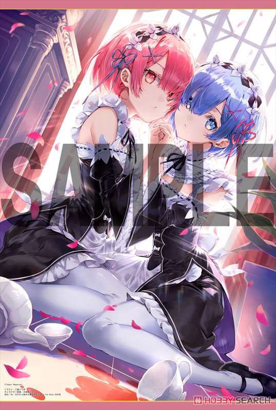 [Re:Zero -Starting Life in Another World-] B2 Tapestry (Itsuki Mito) (Anime Toy) Item picture1