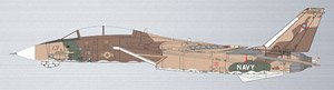 F-14A NFWS/NSAWC トップガン `Desert` No.160913 (完成品飛行機)