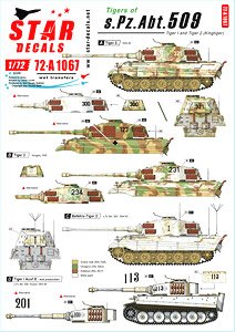 WWII 独 第509重戦車大隊のタイガーI/タイガーII 東部戦線1943～45 (デカール)