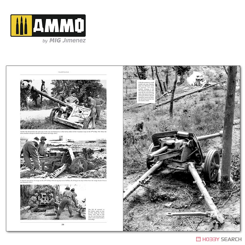 イタリア戦線： ドイツ軍戦車と車両 1943～1945 Vol.2 (書籍) 商品画像8