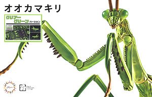 いきもの編 オオカマキリ (クリアーグリーン) (プラモデル)