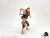 DH-E001BD Equipment for 1/12 Scale Movable Figure: Set B (Ghost) Desert Ver. (PVC Figure) Other picture5