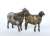 動物セット39 山羊の番い (プラモデル) その他の画像2