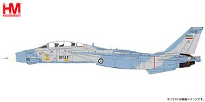 Grumman F-14A Tomcat 160339/3-6041, IRIAF, TFB 8 Khatami, 2003 (Pre-built Aircraft)