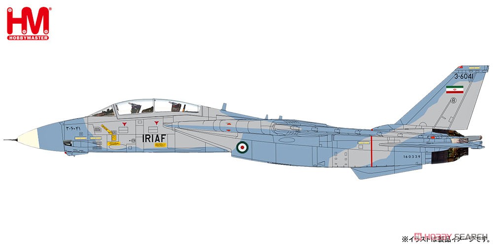 F-14A トムキャット `イラン・イスラム共和国空軍 2003` (完成品飛行機) その他の画像1