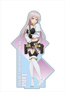 The Hidden Dungeon Only I Can Enter Big Acrylic Stand Luna (Anime Toy)