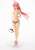 To Love-Ru Darkness Figure Photography Collection (Book) Other picture1