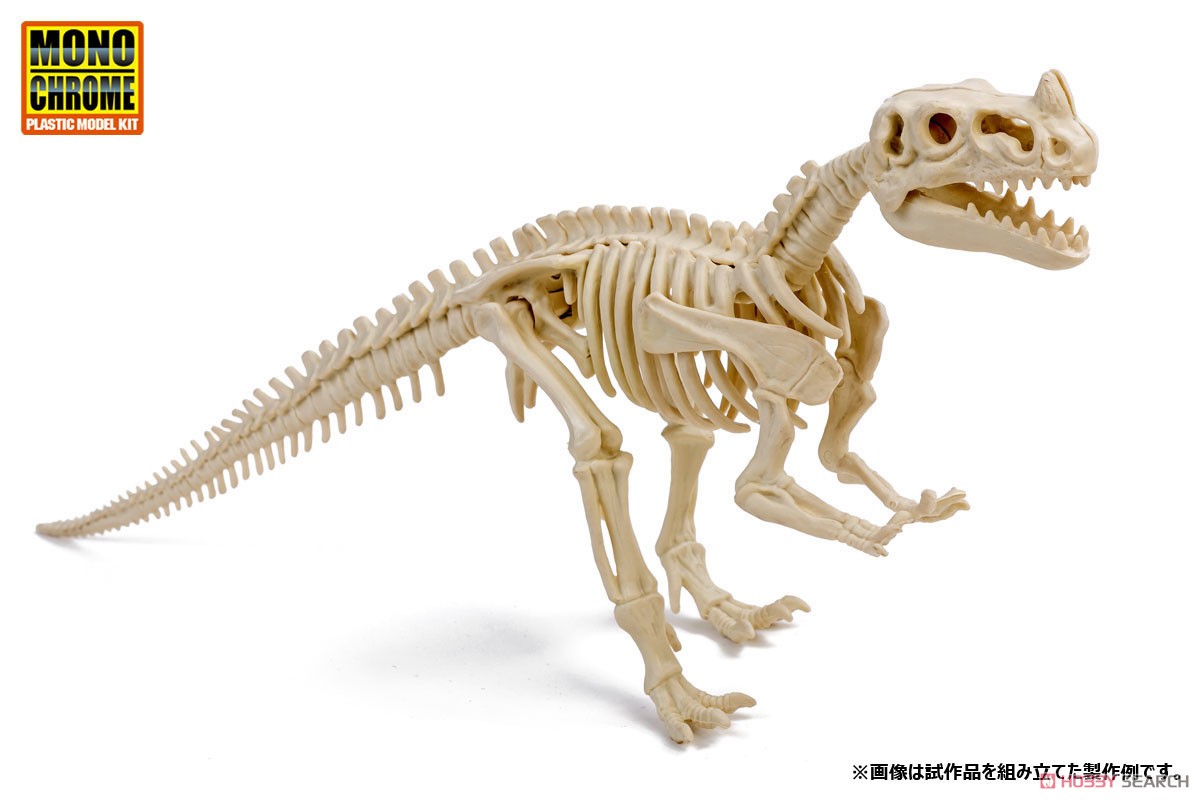 恐竜化石発掘モデル ケラトサウルス (プラモデル) その他の画像1