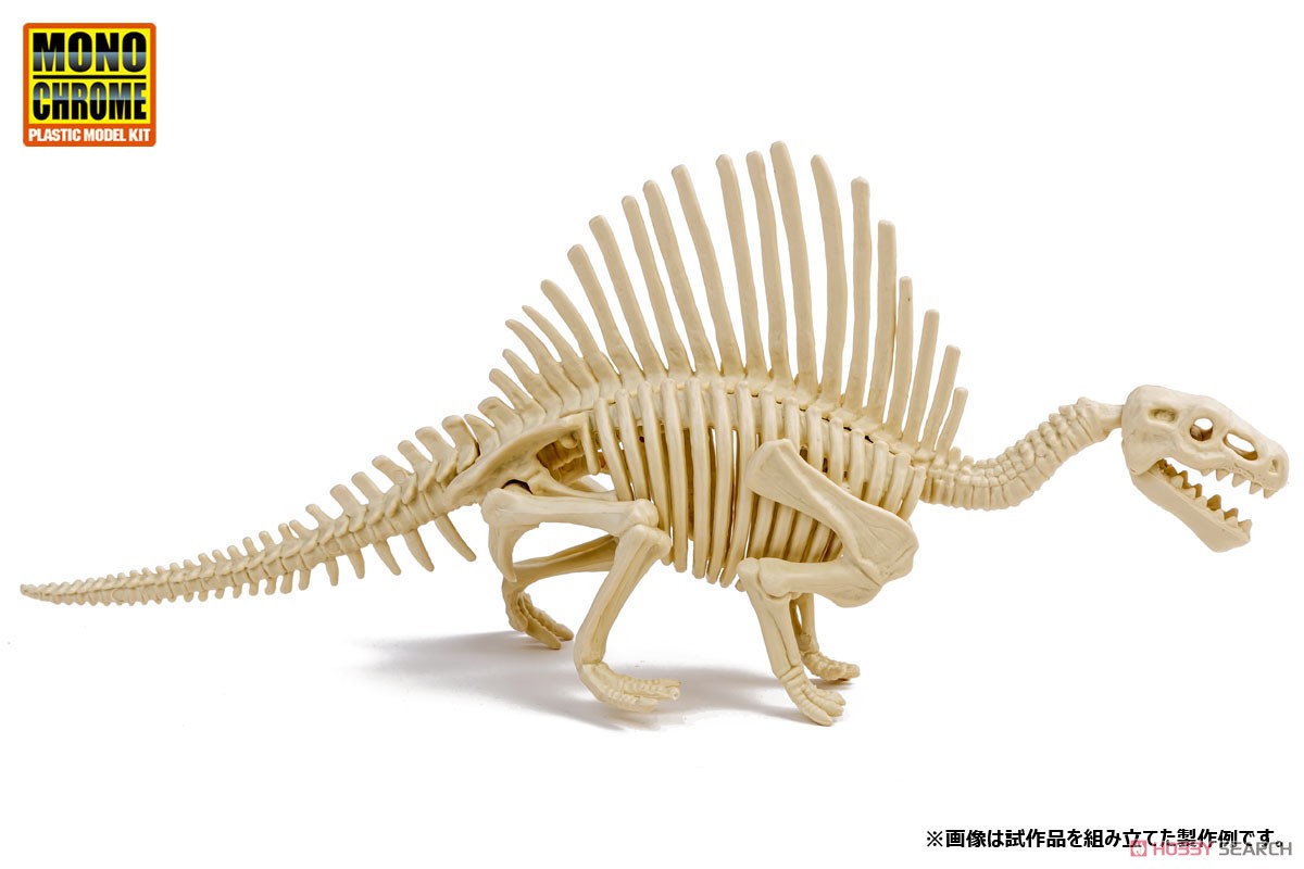 恐竜化石発掘モデル スピノサウルス (プラモデル) その他の画像1
