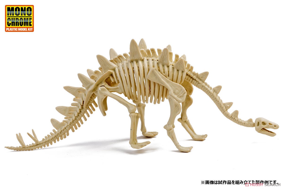 恐竜化石発掘モデル ステゴサウルス (プラモデル) その他の画像1