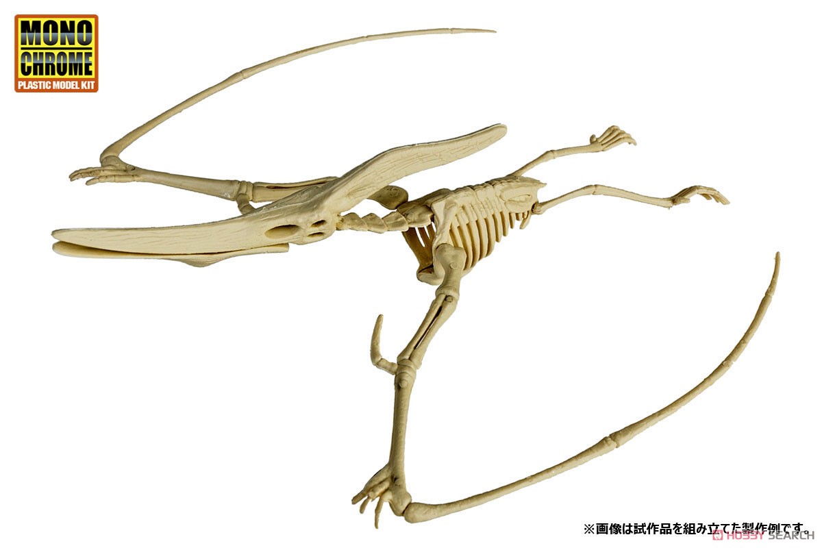 恐竜化石発掘モデル プテラノドン (プラモデル) その他の画像1