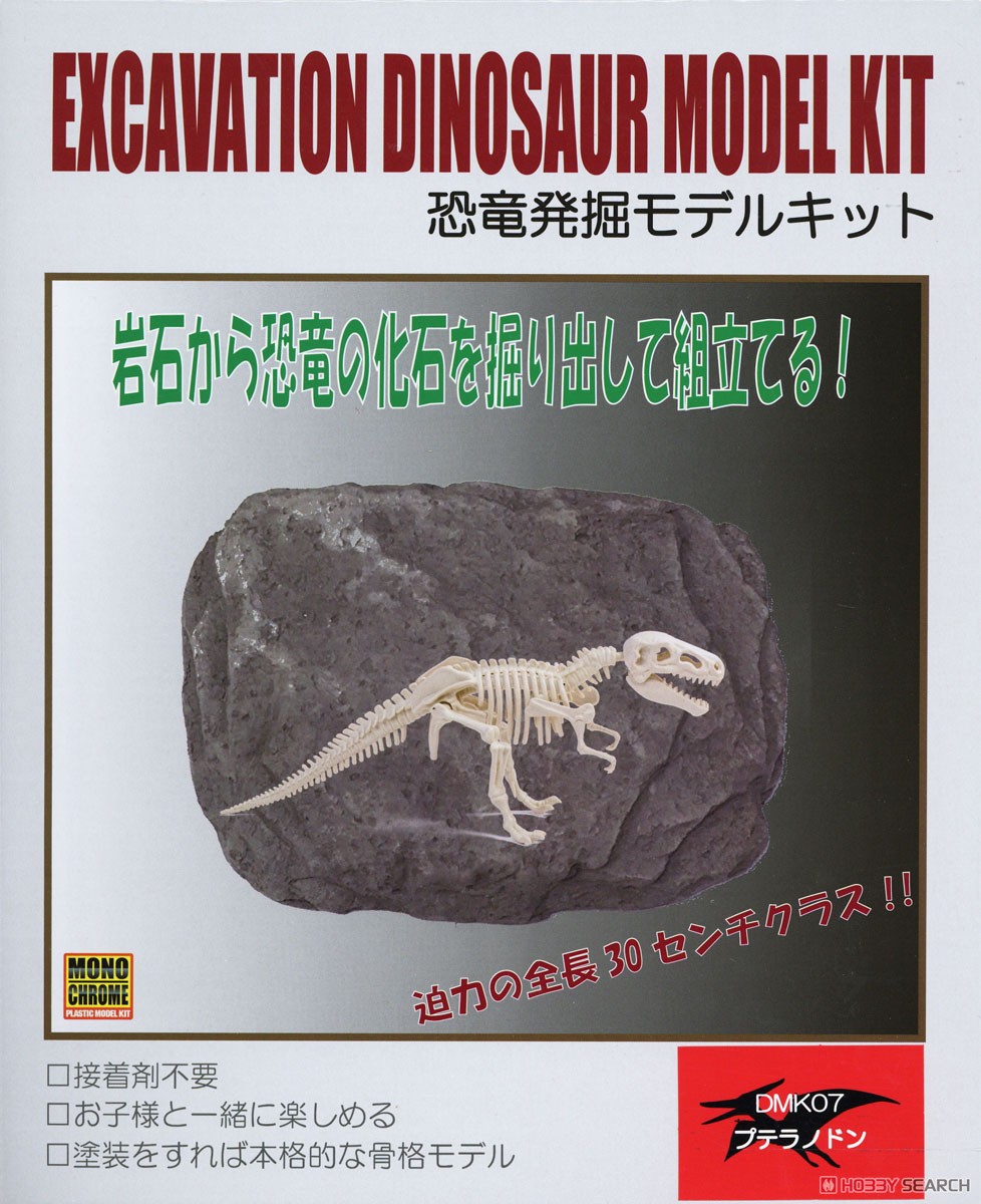 恐竜化石発掘モデル プテラノドン (プラモデル) パッケージ1