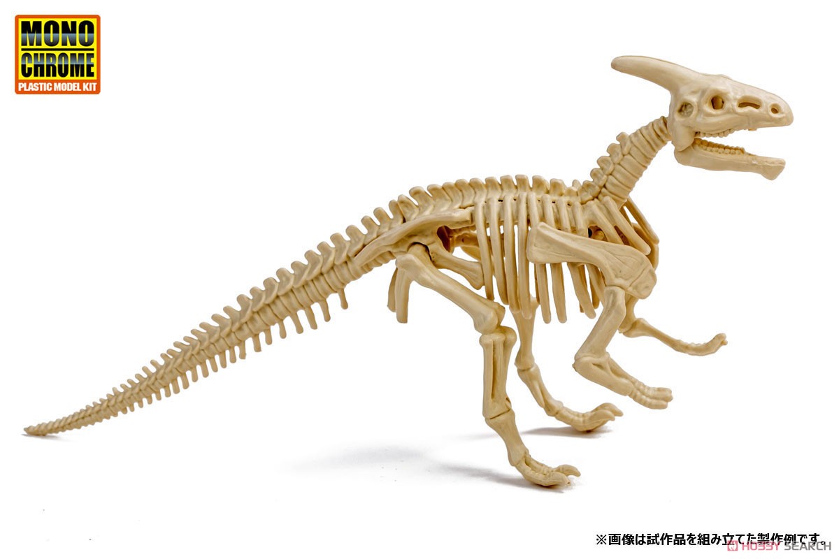 恐竜化石発掘モデル パラサウロロフス (プラモデル) その他の画像1