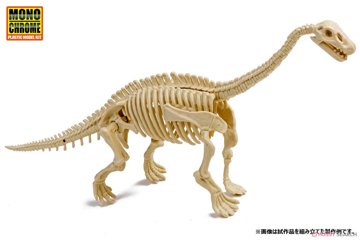 恐竜化石発掘モデル ディプロドクス (プラモデル) その他の画像1
