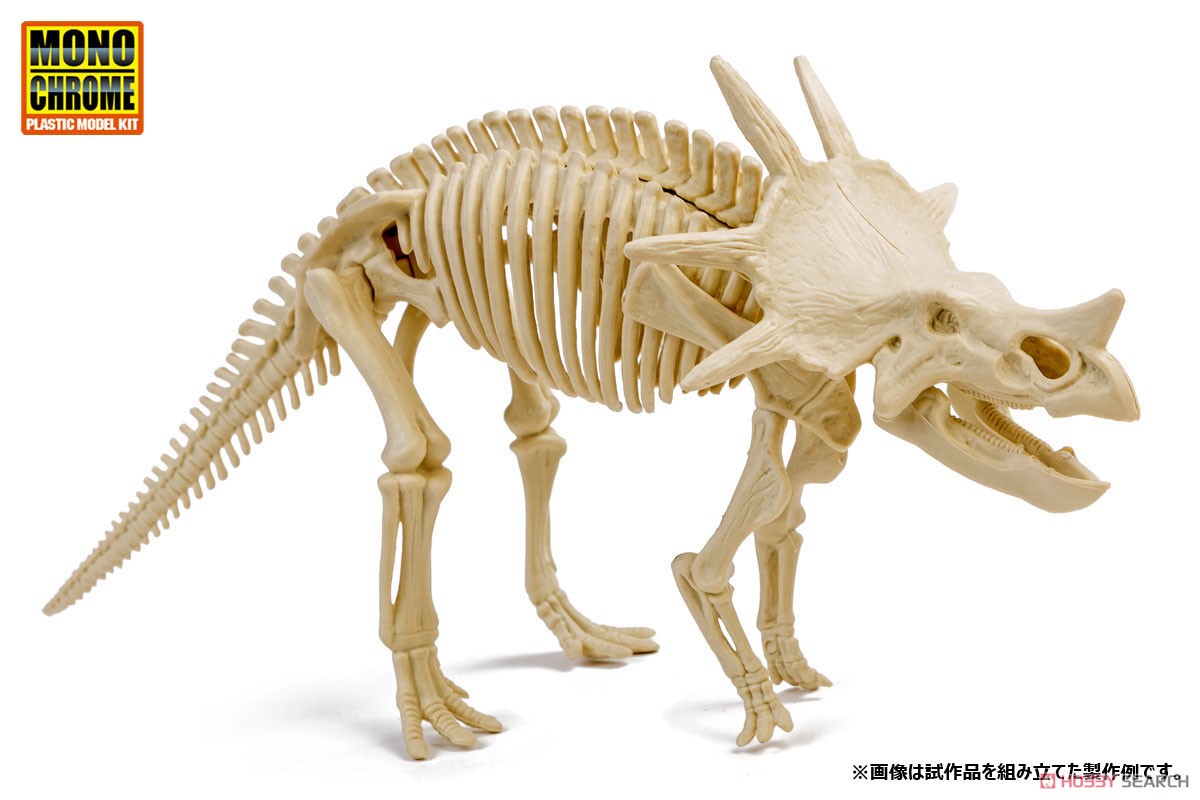 恐竜化石発掘モデル スティラコサウルス (プラモデル) その他の画像1
