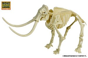 Excavate Dinosaur Fossil Mammoth (Plastic model)