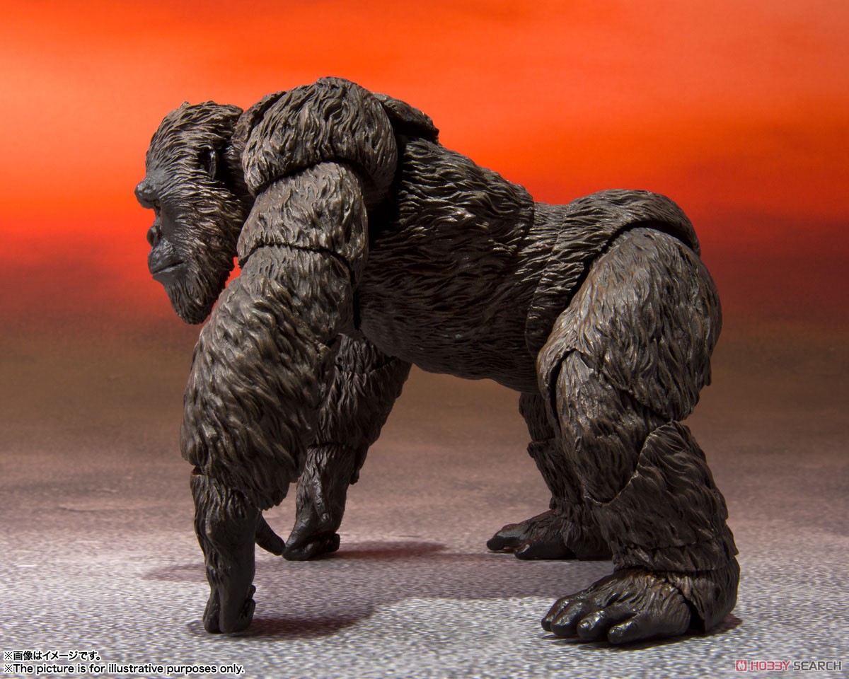 S.H.MonsterArts KONG from Movie 『GODZILLA VS. KONG』 (2021) (完成品) 商品画像2