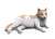 ジオラマアクセサリー 猫セット (6点) (アクセサリー) その他の画像3