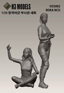 ROKA NCO (Plastic model)