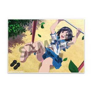 ストライク・ザ・ブラッドIV ビジュアルアクリルプレート 姫柊雪菜 (キャラクターグッズ)