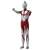 Metal Figure Collection Shin Ultraman (Character Toy) Item picture1