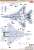 航空自衛隊 F-15Jイーグル 2003戦競 第303飛行隊 `白龍` (プラモデル) 塗装5