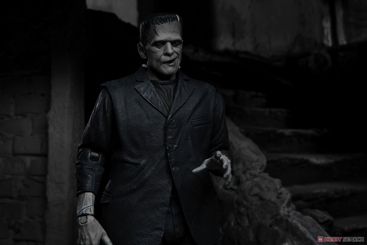 Frankenstein/ Frankenstein Ultimate 7inch Action Figure (Completed) Other picture14