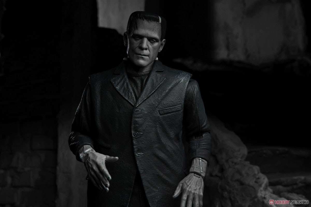 Frankenstein/ Frankenstein Ultimate 7inch Action Figure (Completed) Other picture6
