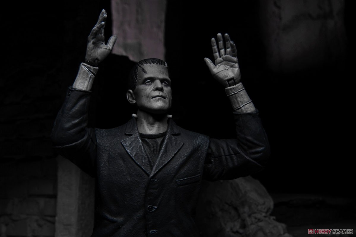 Frankenstein/ Frankenstein Ultimate 7inch Action Figure (Completed) Other picture7