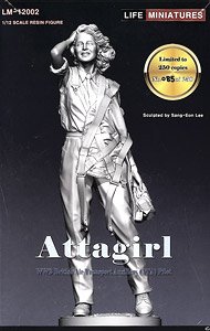 Attagirl - WW2 British ATA Pilot (Plastic model)